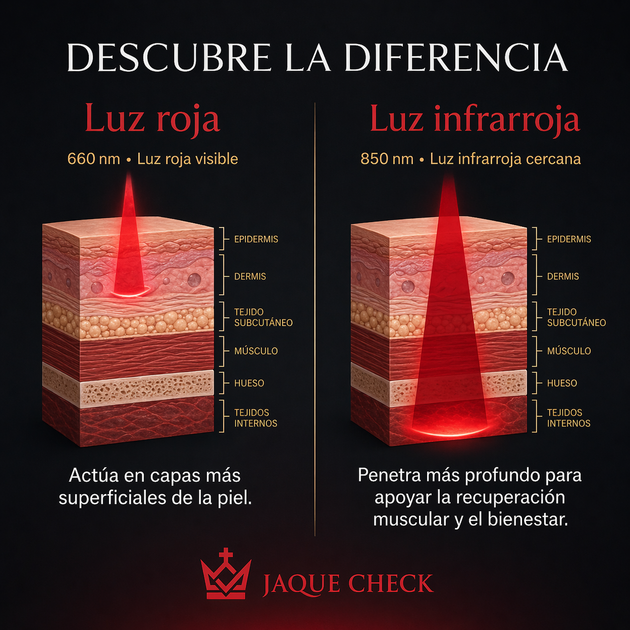 Panel de Terapia de Luz Roja e Infrarroja Portátil