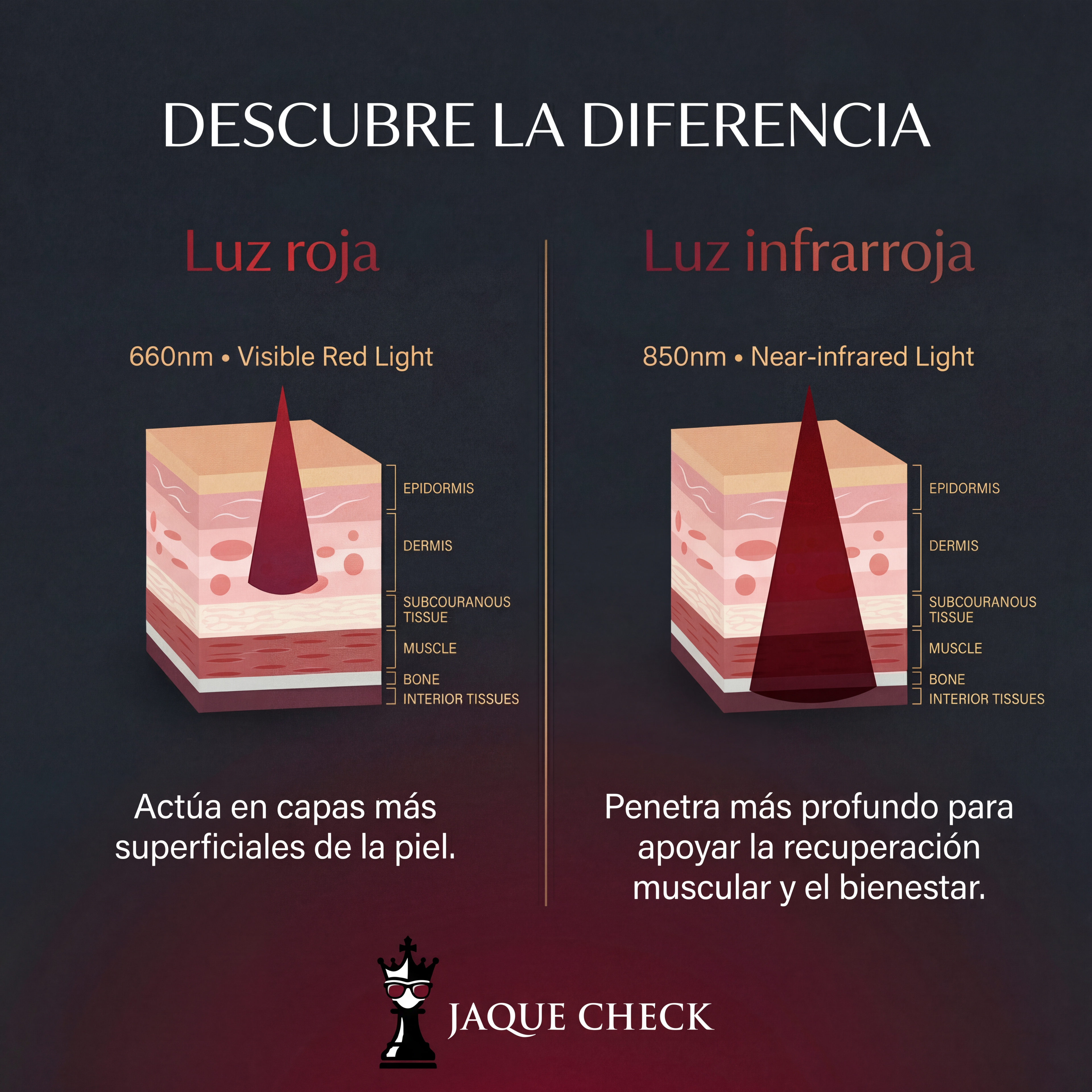 Panel de Terapia de Luz Roja e Infrarroja Portátil